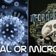 Illustration for article titled Holiday Pop Quiz: Metal Band or Microbe?